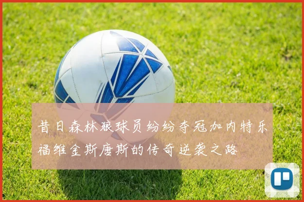 昔日森林狼球员纷纷夺冠加内特乐福维金斯唐斯的传奇逆袭之路