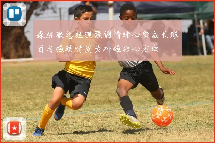 森林狼总经理强调情绪心智成长球商与强硬特质为补强核心方向